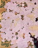 VSImage_2