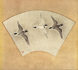 VSImage_5